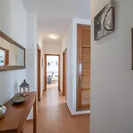 فيلة Palmera بلايا بلانكا