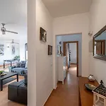 فيلة Palmera *